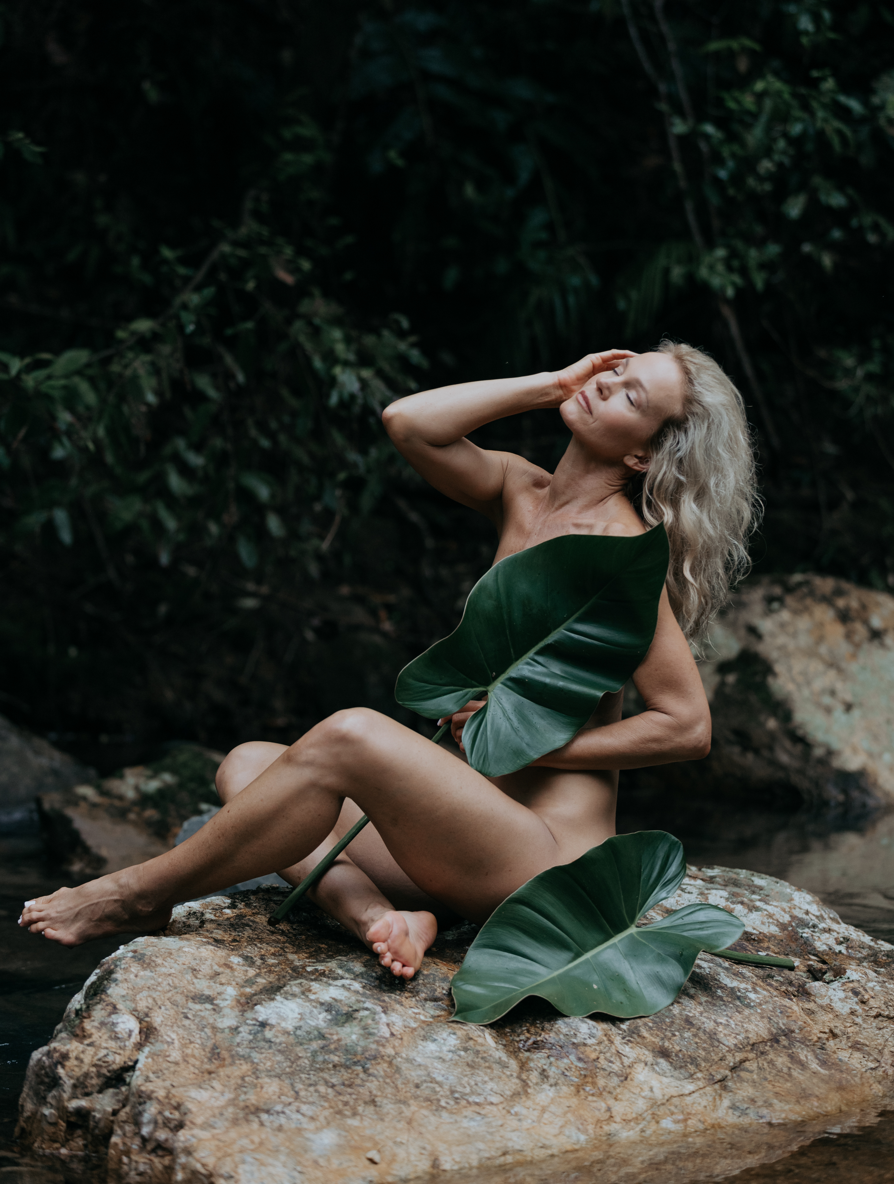 Wellness — natural beauty, jungle leaves & rock